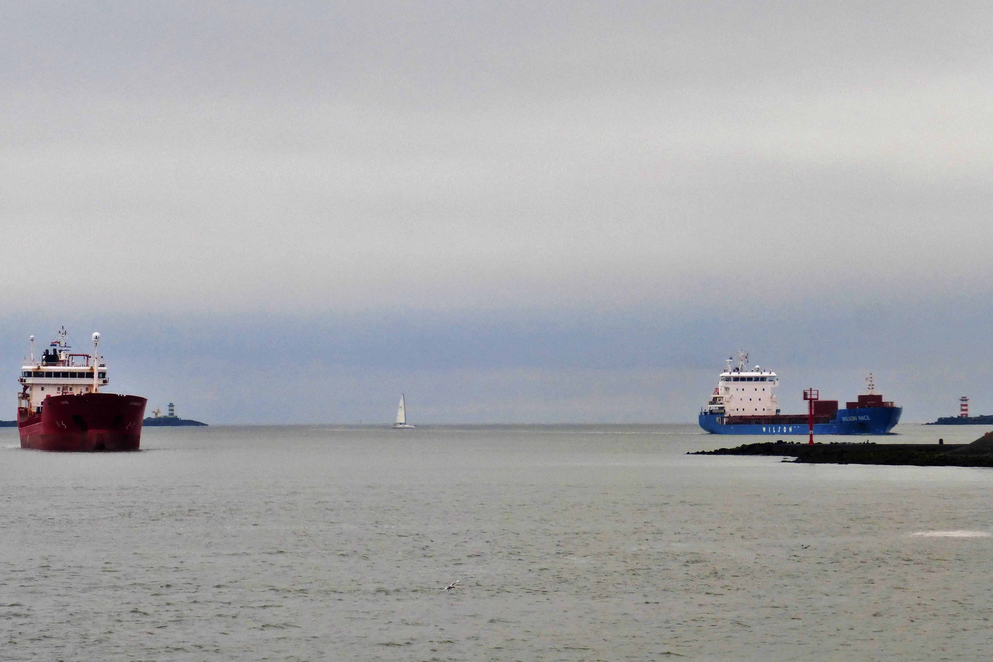 Pieren IJmuiden   04-03-21 